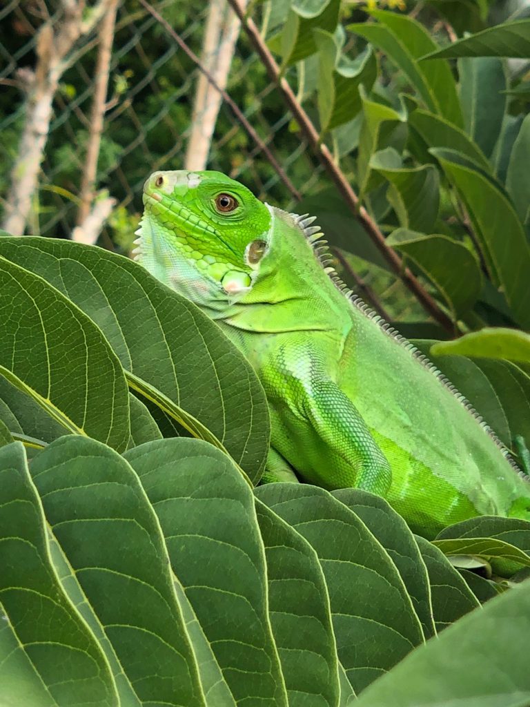 673fa26f-96d0-46d8-8483-0de73d880714