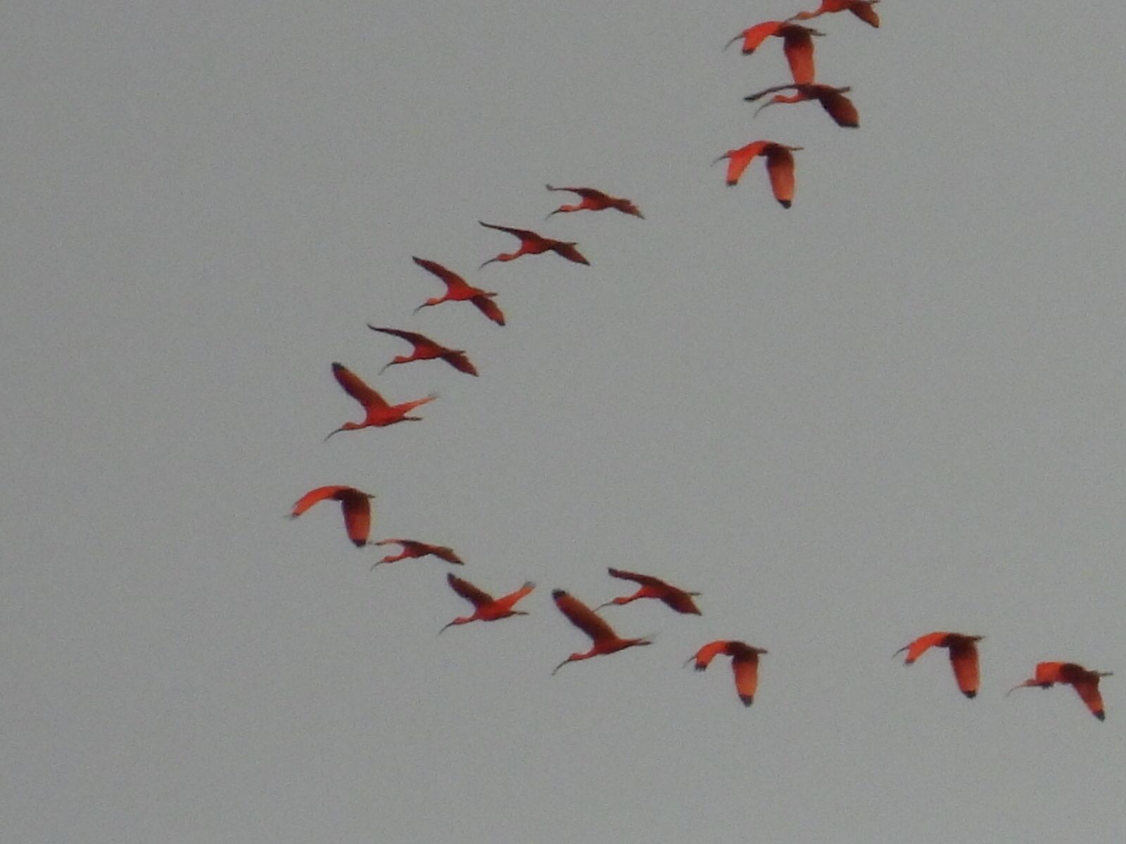 6ab0692a-bcdf-4615-9811-9e0e5938ebc2