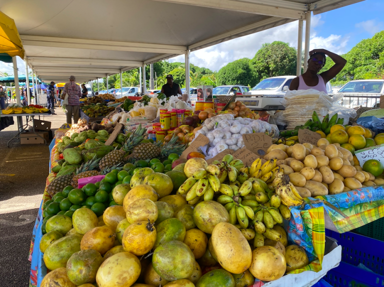 Capture d’écran 2024-01-29 à 15.08.38